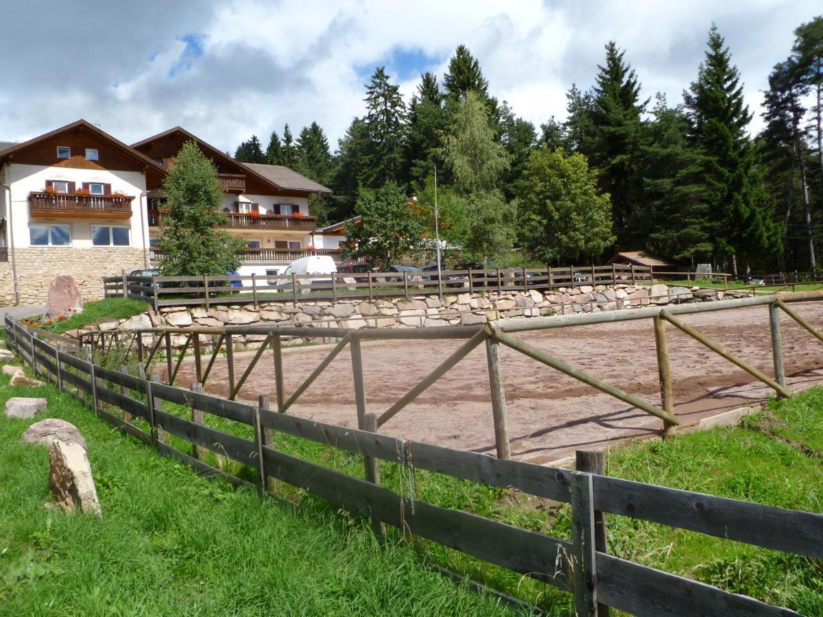 Reiterhof Edelweiss Ξενοδοχείο San Genesio Atesino Εξωτερικό φωτογραφία